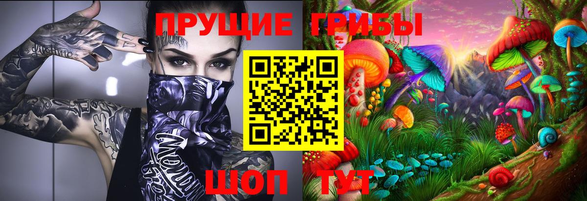 Курганинск  Галлюциногенные грибы прущие грибы  Вход с VPN  купить   Псилоцибиновые грибы Cubensis 